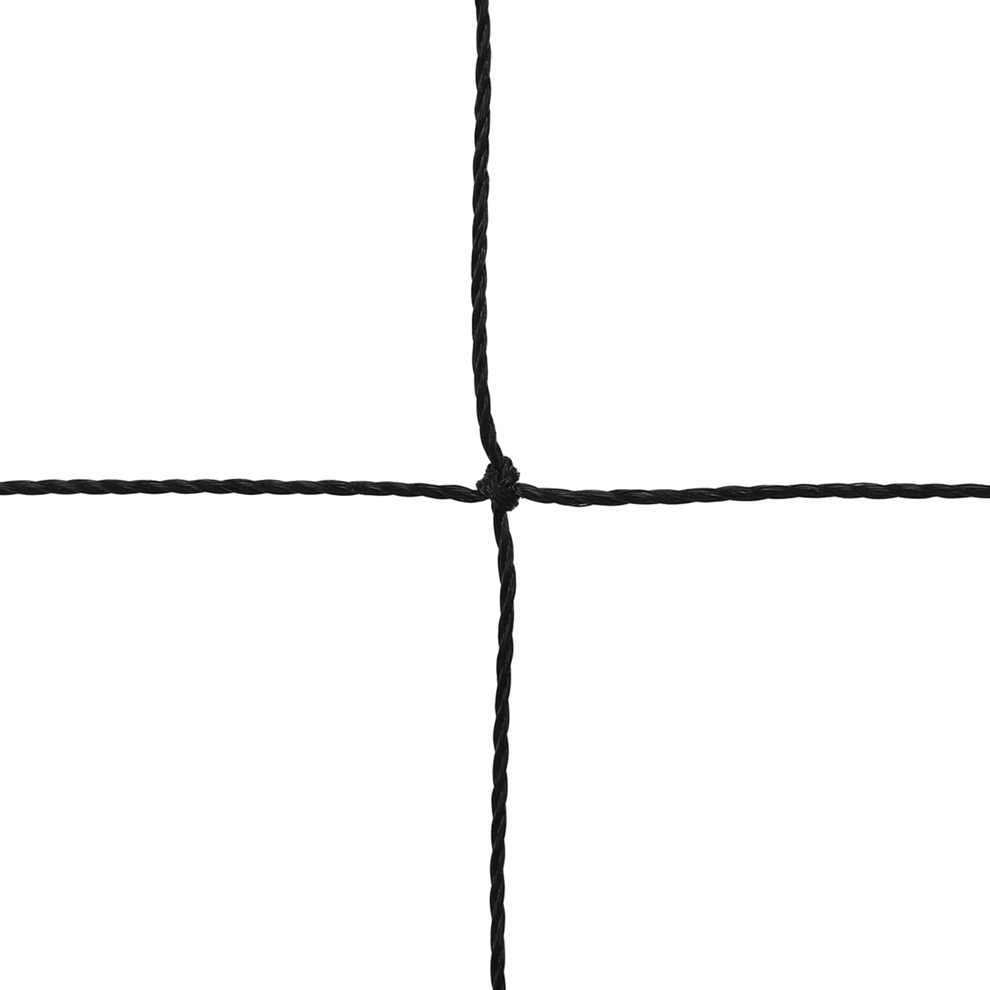14db62d8-fee9-11ed-9f77-d45d64415ba404