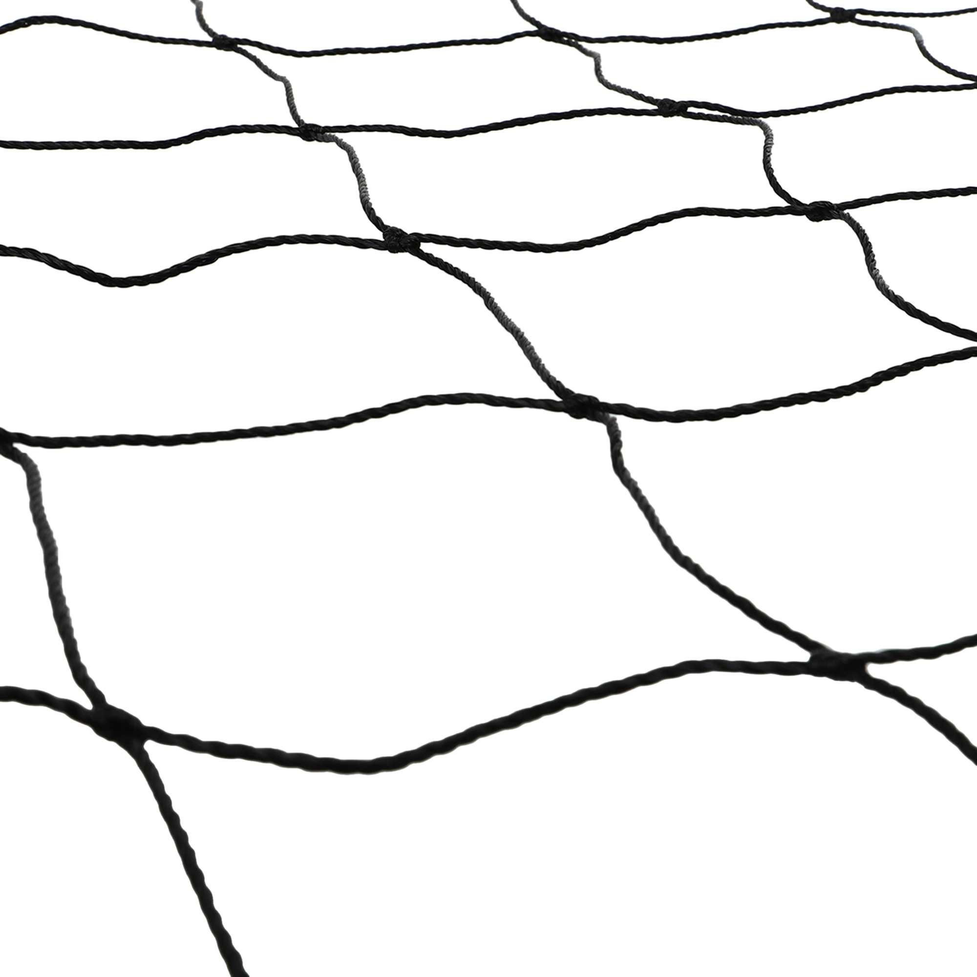 4e9d2d7b-0792-11ef-a09a-d45d64415ba406