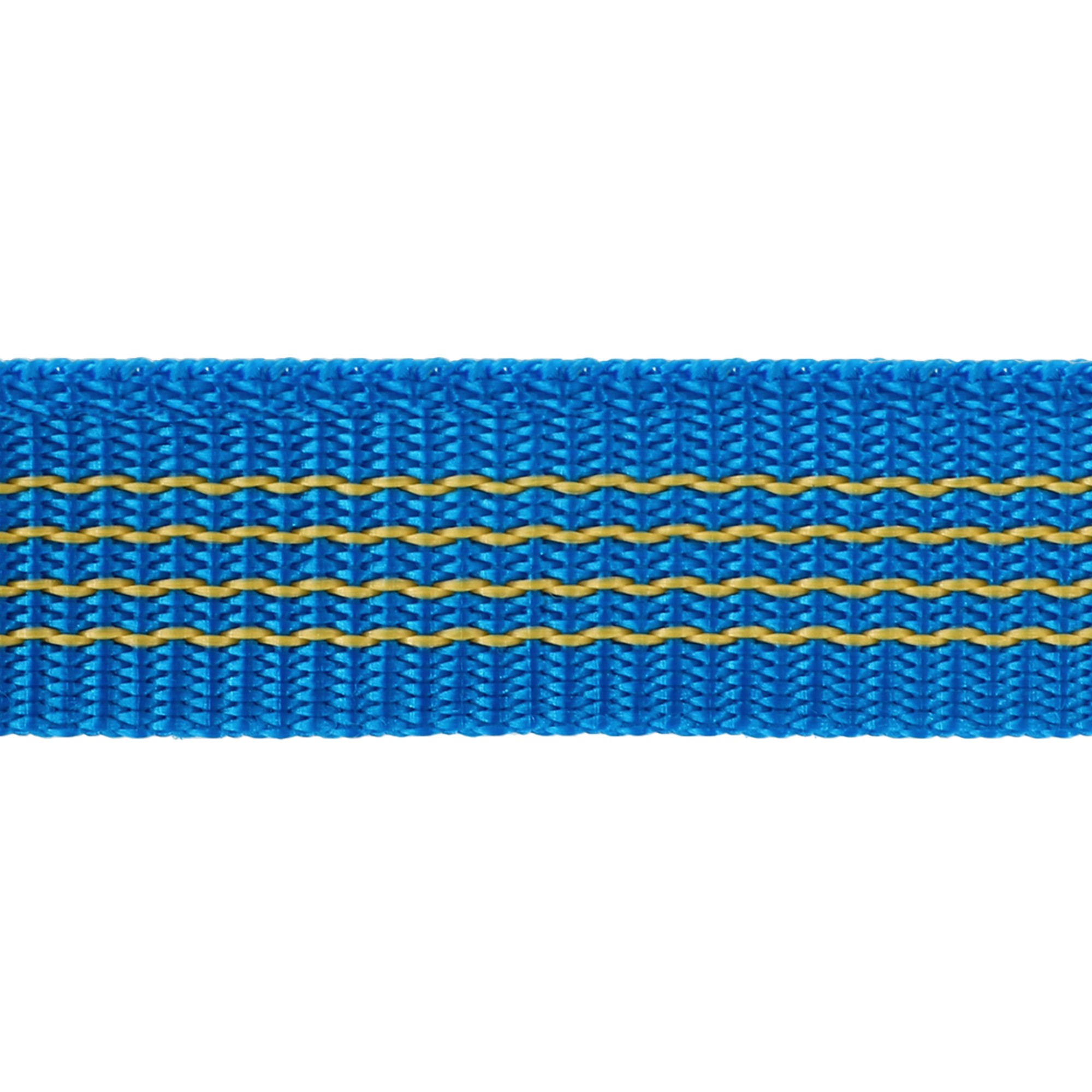 b9522831-55ba-11e7-af8d-363766626438-00000311107